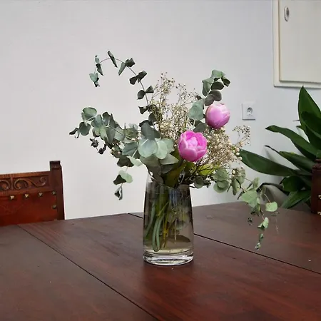 Country house Ines Almodovar del Campo